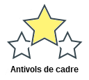 Antivols de cadre