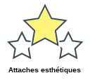 Attaches esthétiques