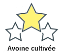 Avoine cultivée