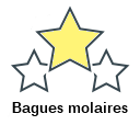 Bagues molaires