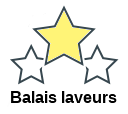 Balais laveurs