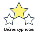 Bičres cypriotes