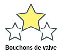 Bouchons de valve