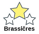 Brassičres