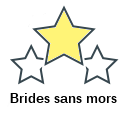Brides sans mors