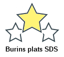 Burins plats SDS