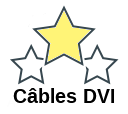 Câbles DVI