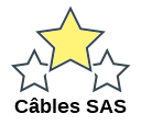 Câbles SAS