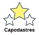 Capodastres