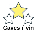 Caves ŕ vin