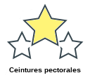 Ceintures pectorales