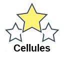 Cellules