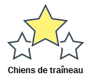 Chiens de traîneau