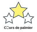 Curs de palmier