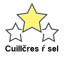 Cuillčres ŕ sel