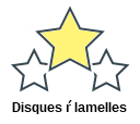 Disques ŕ lamelles