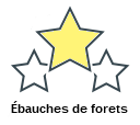 Ébauches de forets