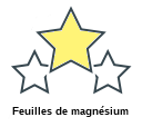 Feuilles de magnésium