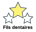 Fils dentaires