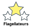 Flagellateurs