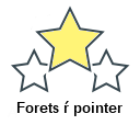Forets ŕ pointer