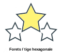 Forets ŕ tige hexagonale