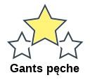 Gants pęche