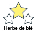 Herbe de blé