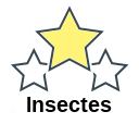 Insectes