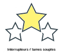 Interrupteurs ŕ lames souples