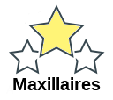 Maxillaires