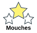 Mouches