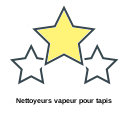 Nettoyeurs vapeur pour tapis