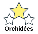 Orchidées