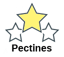 Pectines