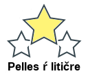 Pelles ŕ litičre