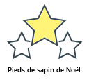 Pieds de sapin de Noël