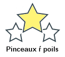 Pinceaux ŕ poils