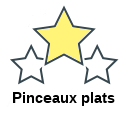 Pinceaux plats