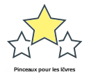 Pinceaux pour les lčvres