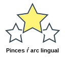 Pinces ŕ arc lingual