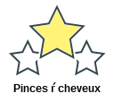 Pinces ŕ cheveux