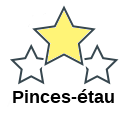 Pinces-étau