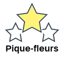 Pique-fleurs