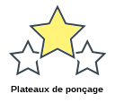 Plateaux de ponçage