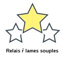 Relais ŕ lames souples