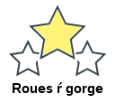 Roues ŕ gorge