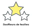 Souffleurs de feuilles