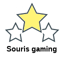 Souris gaming