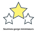 Soutines-gorge minimiseurs